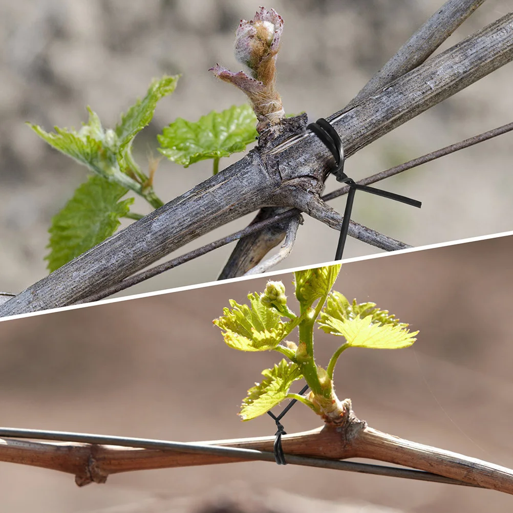 1000Pcs Garden Flexible Wire Ties Twisted Binding Ties Reusable Cable Organizer and Plant Fixing Tool Cord Tie 
1000Pcs Garden Flexible Wire Ties Twisted Binding Ties Reusable Cable Organizer and Plant Fixing Tool Cord Tie