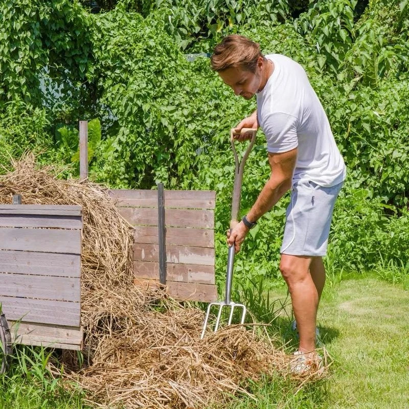 Gardening Tools Stainless Steel Forks Outdoor
Gardening Tools Stainless Steel Forks Outdoor