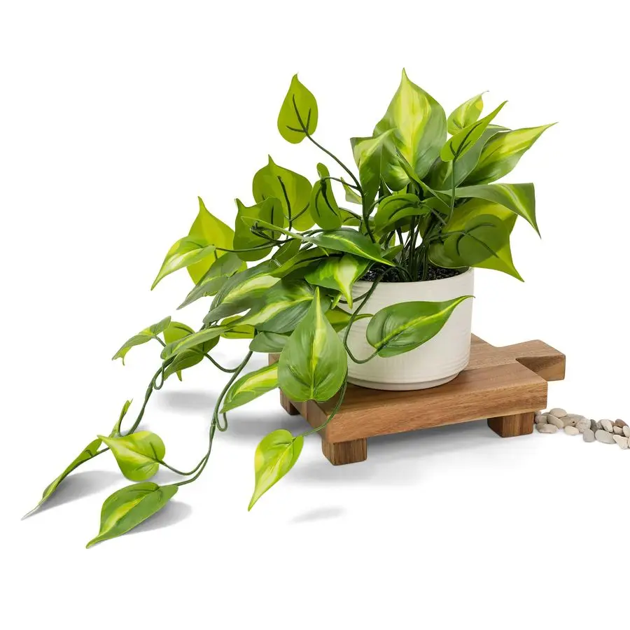 Dark Green Fake pothos Fake Plant for Shelf Decor Artificial Trailing Ivy Plant with 5 Wide x 3.5 high Ceramic Pot Faux pothos P
Dark Green Fake pothos Fake Plant for Shelf Decor Artificial Trailing Ivy Plant with 5 Wide x 3.5 high Ceramic Pot Faux pothos P