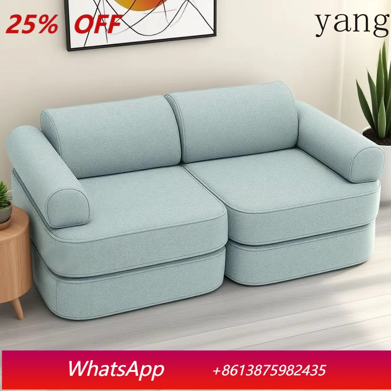CX Modern Simple Compression Foldable Modular Fabric Sofa Bed
CX Modern Simple Compression Foldable Modular Fabric Sofa Bed
