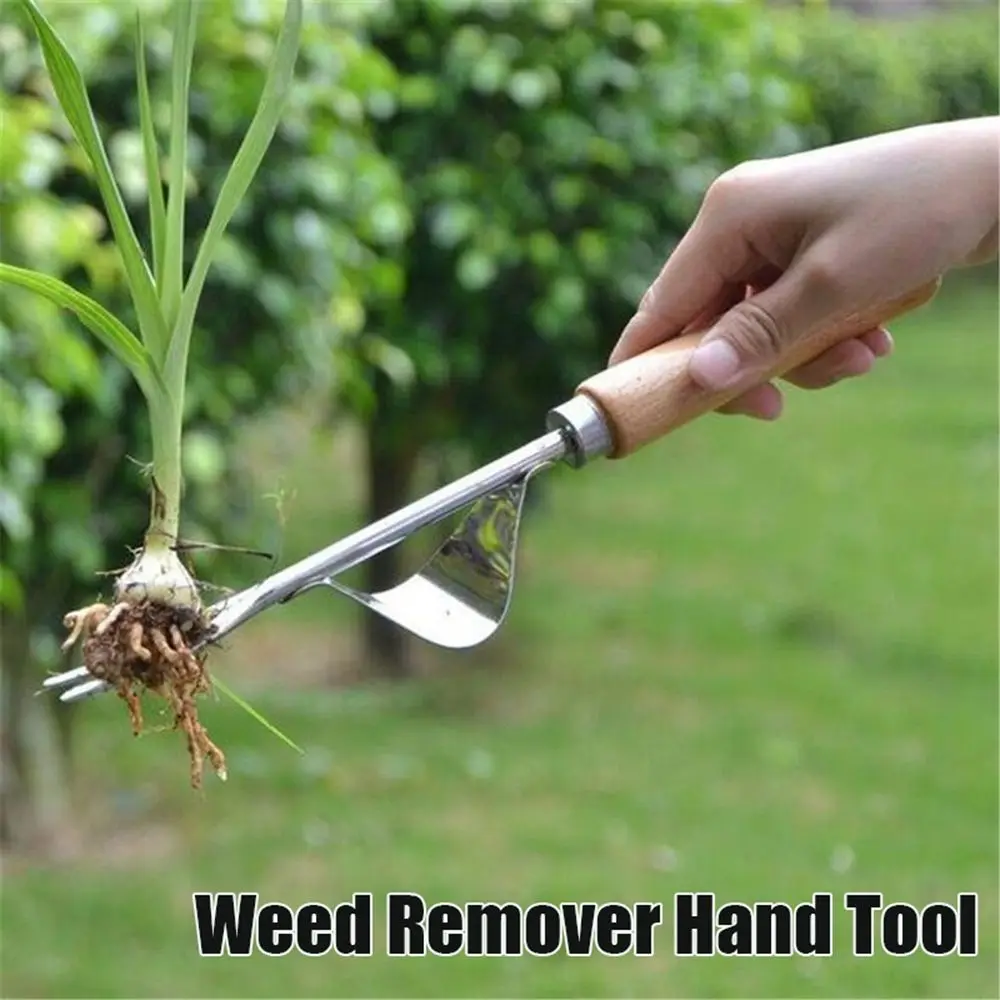 Multifunction Stainless Steel Outdoor Farmland Lawn Hand Tool Grass Digging Puller Garden Supplies Weeder Weed Remover
Multifunction Stainless Steel Outdoor Farmland Lawn Hand Tool Grass Digging Puller Garden Supplies Weeder Weed Remover
