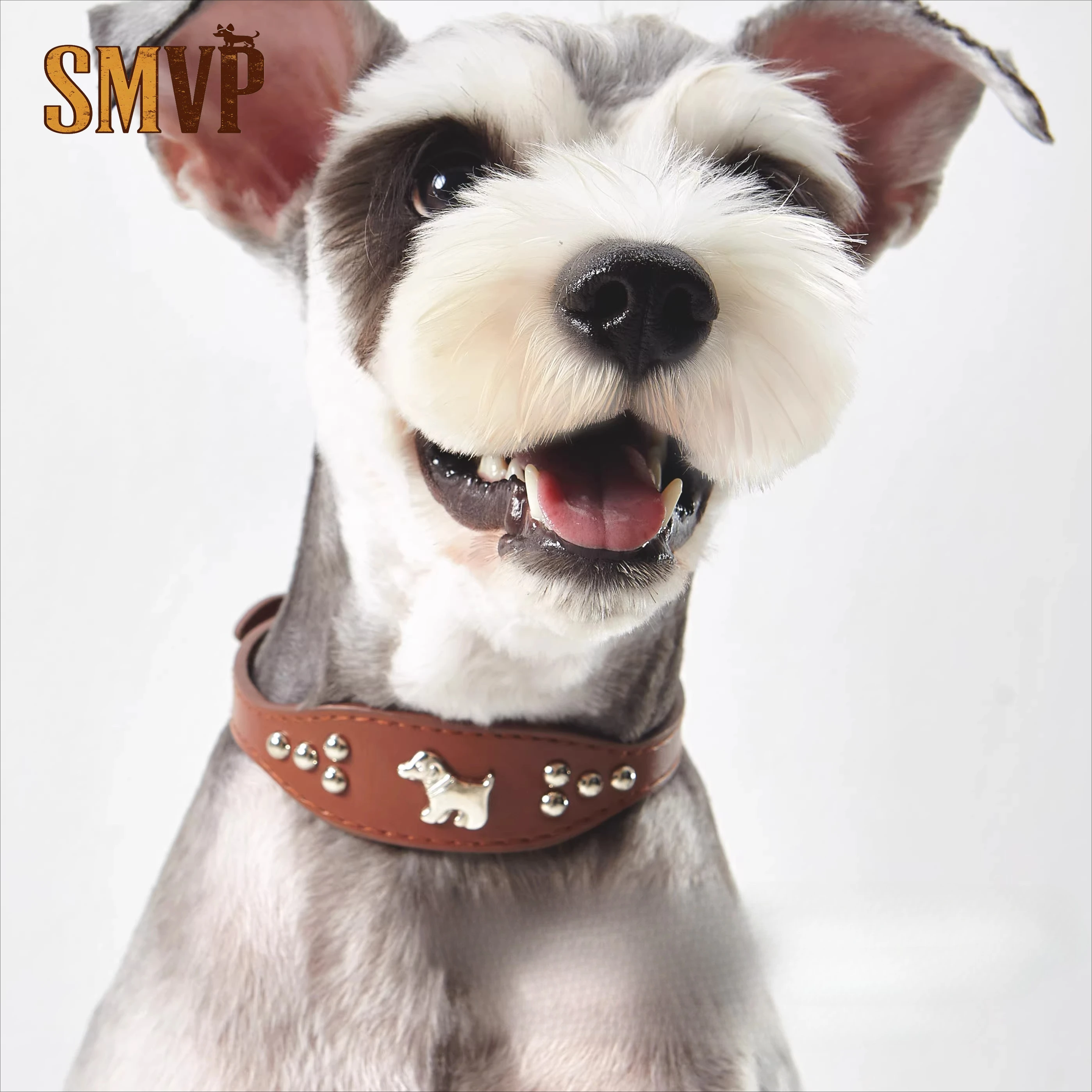 Original Design Retro PU Leather Punk Style Metal Cartoon Pattern Decoration Pet Small and Medium Dog Anti Bite Collar
Original Design Retro PU Leather Punk Style Metal Cartoon Pattern Decoration Pet Small and Medium Dog Anti Bite Collar