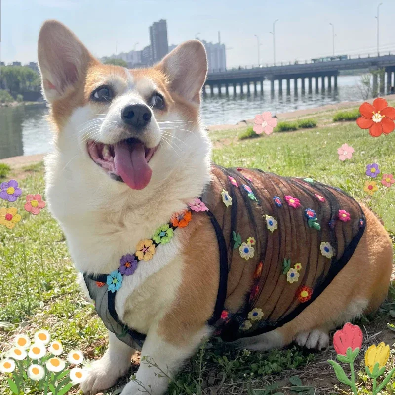 Welsh Corgi Clothes Summer Dog Vest Poodle Schnauzer Shiba Inu Border Collie Husky Labrador Golden Retriever Big Dog Clothing
Welsh Corgi Clothes Summer Dog Vest Poodle Schnauzer Shiba Inu Border Collie Husky Labrador Golden Retriever Big Dog Clothing