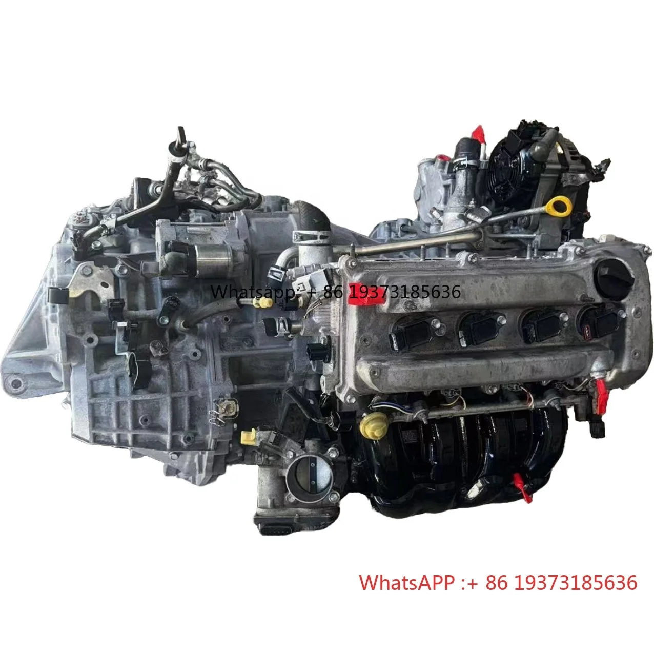 For Wholesale Used Aluminum Original Disassembled 2AZ Engine Assembly with Gearbox Compatible with for Toyota Camry RAV4 2.4L
For Wholesale Used Aluminum Original Disassembled 2AZ Engine Assembly with Gearbox Compatible with for Toyota Camry RAV4 2.4L