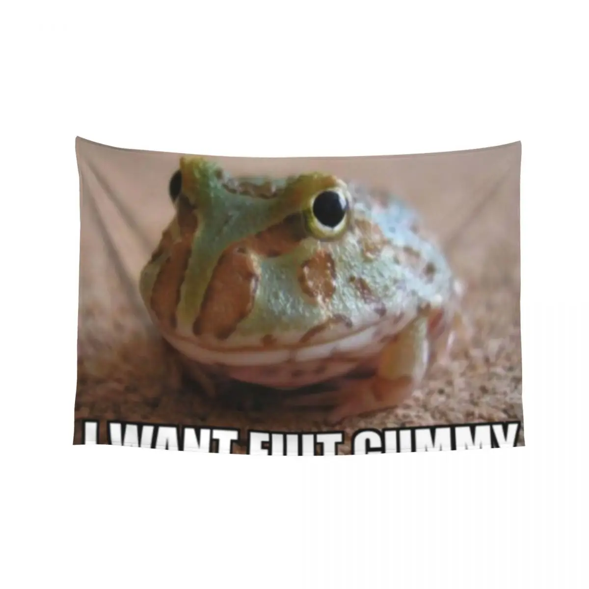 i want fuit gummy Tapestry Room Decorations Aesthetics Things To Decorate The Room Carpet On The Wall Tapestry
i want fuit gummy Tapestry Room Decorations Aesthetics Things To Decorate The Room Carpet On The Wall Tapestry