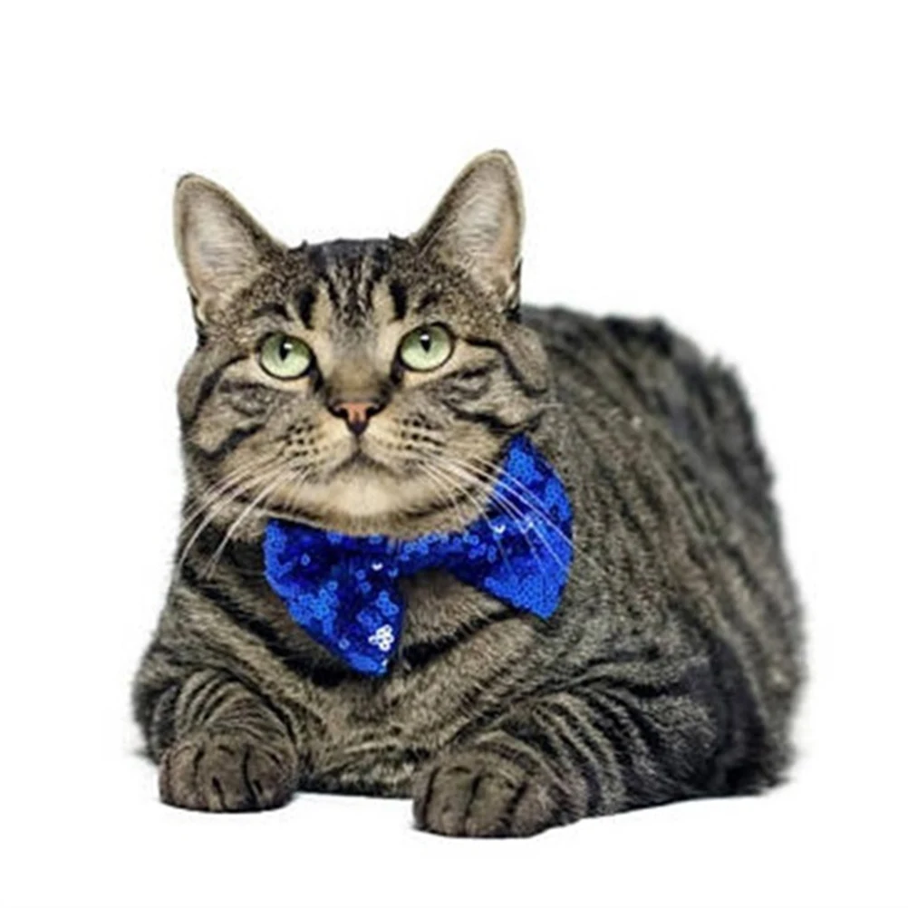 pet necktie pet necktie and collar pet bow ties dog tie dog necktie adjustable pet necktie
pet necktie pet necktie and collar pet bow ties dog tie dog necktie adjustable pet necktie