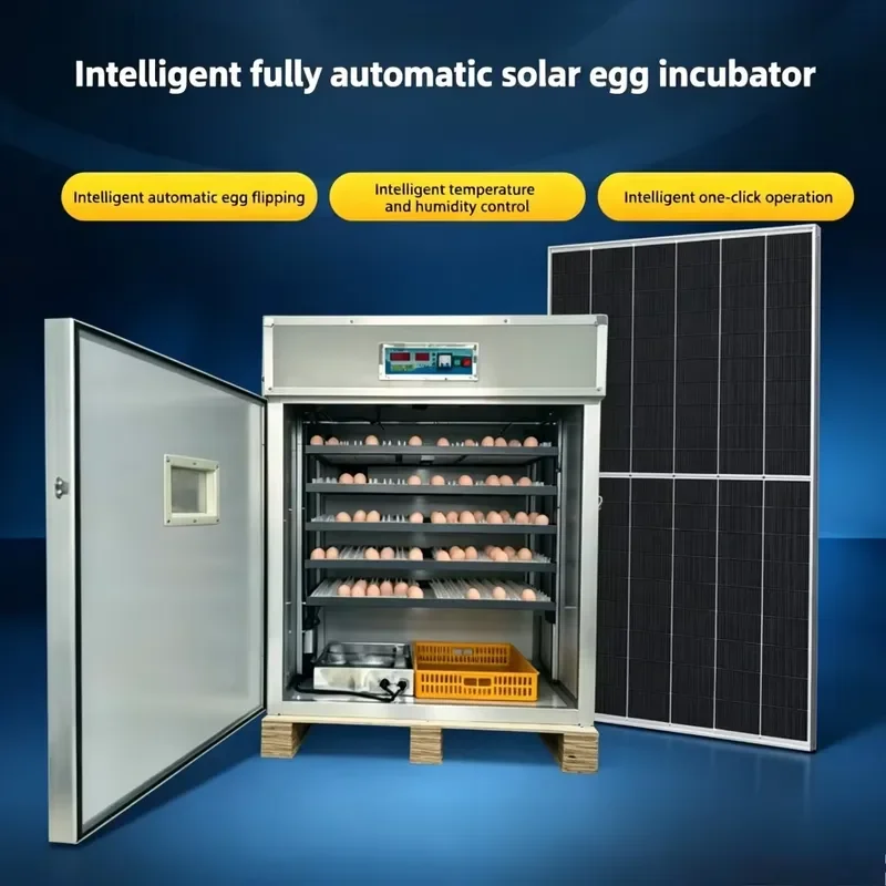 2026 Solar 1056 Eggs Automatic Turning Humidity Control High Hatching Rate 90-95 Percent for Poultry Farm
2026 Solar 1056 Eggs Automatic Turning Humidity Control High Hatching Rate 90-95 Percent for Poultry Farm