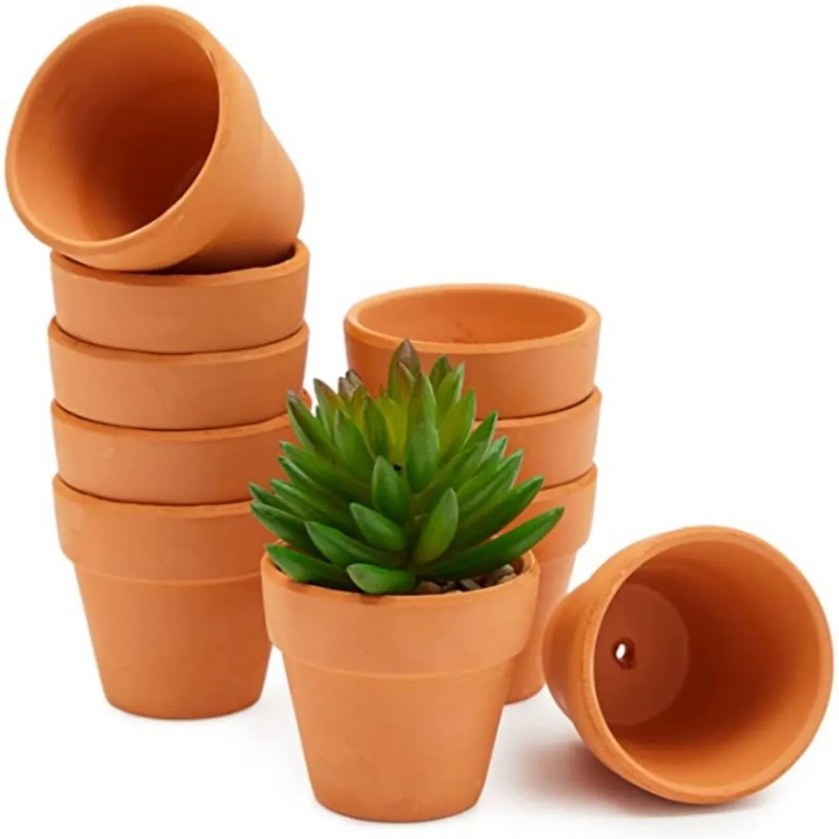 10 Pcs 1.8'' Terra Cotta Pots Pottery Planter Cactus Flower Pots Succulent Pot with Drainage Hole- Great for Plants,Crafts
10 Pcs 1.8'' Terra Cotta Pots Pottery Planter Cactus Flower Pots Succulent Pot with Drainage Hole- Great for Plants,Crafts