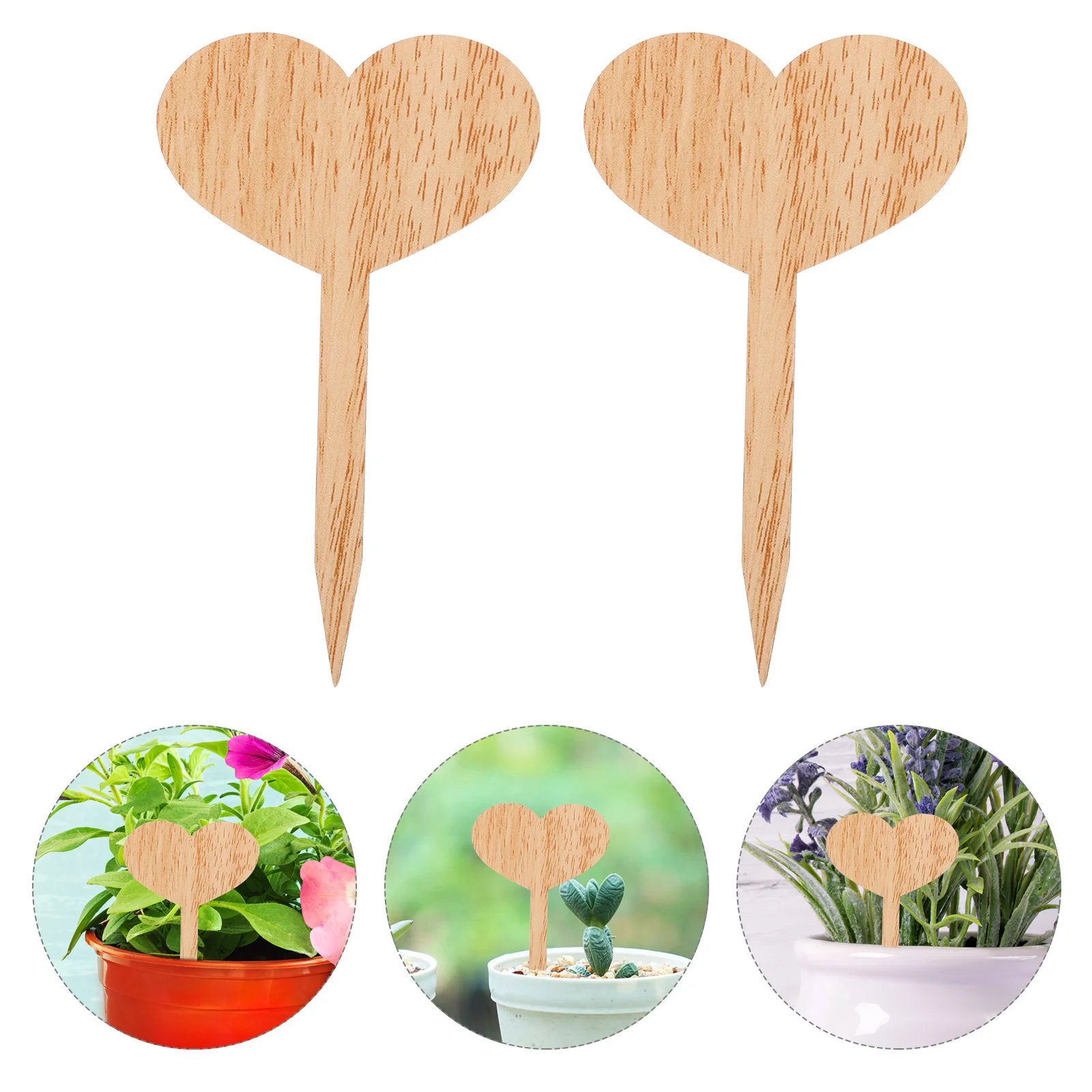Green Decor Succulent Logo Insert Ornaments Novel Gardening Labels Mini Potted Plant Tags
Green Decor Succulent Logo Insert Ornaments Novel Gardening Labels Mini Potted Plant Tags