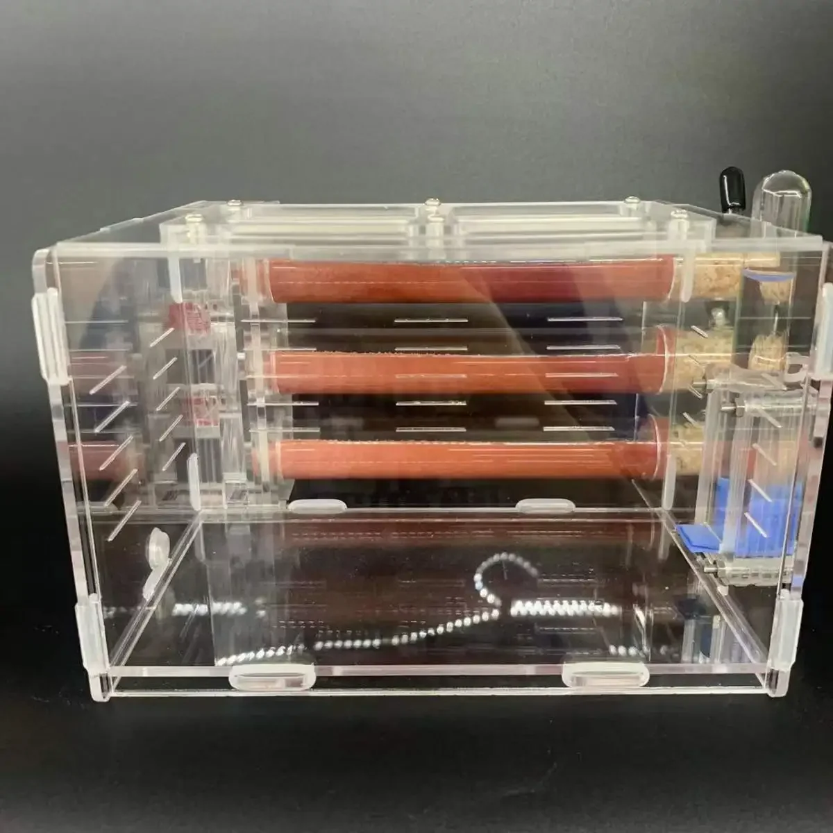 Гнездо для тестовых трубок калибра 25, гнездо из бамбукового соединения, большой размер, большая зона активности, гнездо для муравьи
Гнездо для тестовых трубок калибра 25, гнездо из бамбукового соединения, большой размер, большая зона активности, гнездо для муравьи