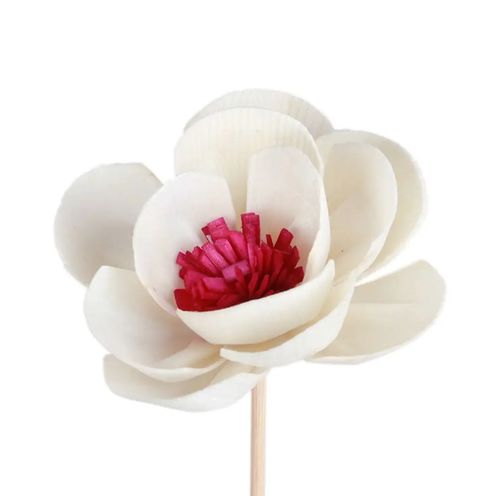 Decoration Air Freshener Bathroom Aroma Oil Diffuser Aromatherapy Rattan Aromatherapy Flower Artificial Flower
Decoration Air Freshener Bathroom Aroma Oil Diffuser Aromatherapy Rattan Aromatherapy Flower Artificial Flower