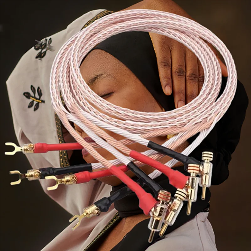 Broadcast-Grade 8TC Bi-Wire Cord - Rhodium Plugs & OCC Copper (Y-Shape Spade-Banana)
Broadcast-Grade 8TC Bi-Wire Cord - Rhodium Plugs & OCC Copper (Y-Shape Spade-Banana)