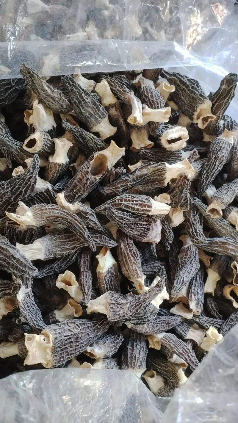 50 CM big RC Boat 70KM/H Professional Remote Control High Speed Racing Speedboat Endurance 20 Minutes Kids Gifts Toys For Boys
50 CM big RC Boat 70KM/H Professional Remote Control High Speed Racing Speedboat Endurance 20 Minutes Kids Gifts Toys For Boys