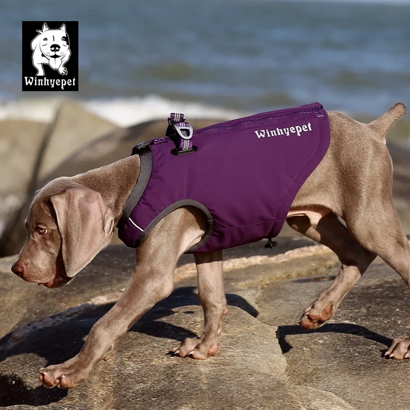 Winhyepet YG1871 Outdoor Dog Harness Vest, Premium Fabric with Reflective Design, Adjustable Outdoor Gear for All Breeds
Winhyepet YG1871 Outdoor Dog Harness Vest, Premium Fabric with Reflective Design, Adjustable Outdoor Gear for All Breeds