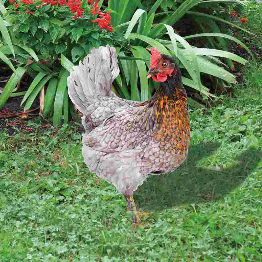 2pcs Garden Chicken Stakes Chicken Yards Acrylic Garden Stakes Garden Decorations garden stakes garden chicken insert
2pcs Garden Chicken Stakes Chicken Yards Acrylic Garden Stakes Garden Decorations garden stakes garden chicken insert