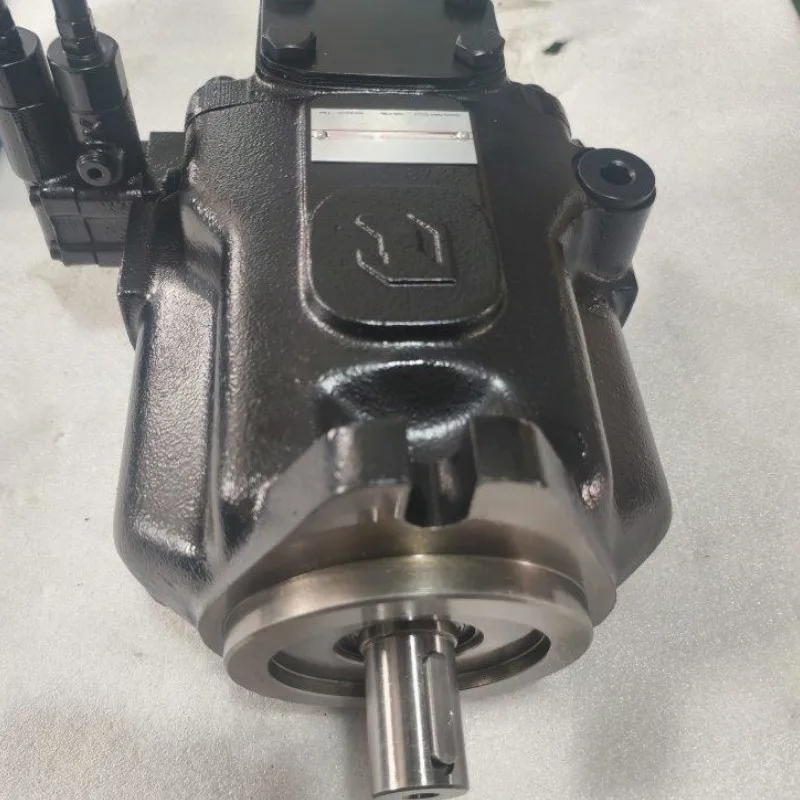 Прямая продажа с фабрики Гидравлический насос серии PVPC PVPCL-5073/1D PVPC-LW-5073/1D Поршневой насос PVPC-L-4046/1D 
Прямая продажа с фабрики Гидравлический насос серии PVPC PVPCL-5073/1D PVPC-LW-5073/1D Поршневой насос PVPC-L-4046/1D