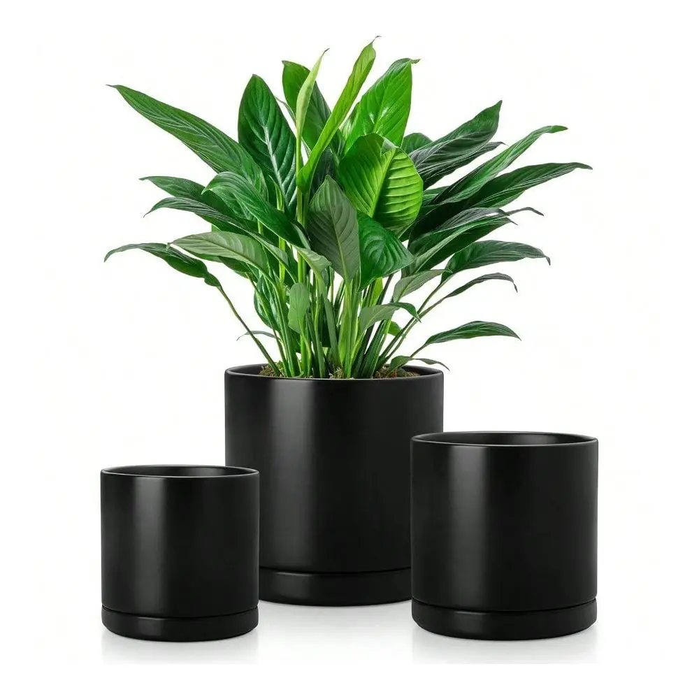 Plant Pots 3 Piece Planters For Indoor Plants 4.255.256.25 Inch Flower Pots With Drainage Plant Pots Indoor For Succulent Potho
Plant Pots 3 Piece Planters For Indoor Plants 4.255.256.25 Inch Flower Pots With Drainage Plant Pots Indoor For Succulent Potho