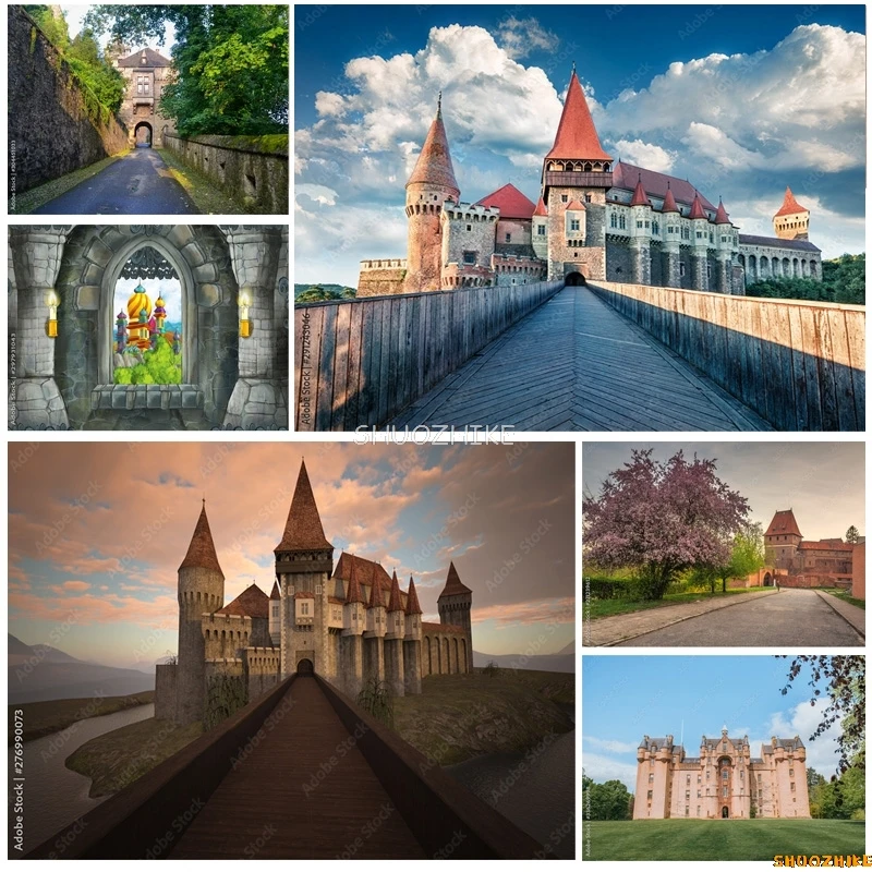 SHUOZHIKE Natural Scenery Photography Background Landscape Travel Castle Photo Backdrops Studio Props CB-04
SHUOZHIKE Natural Scenery Photography Background Landscape Travel Castle Photo Backdrops Studio Props CB-04