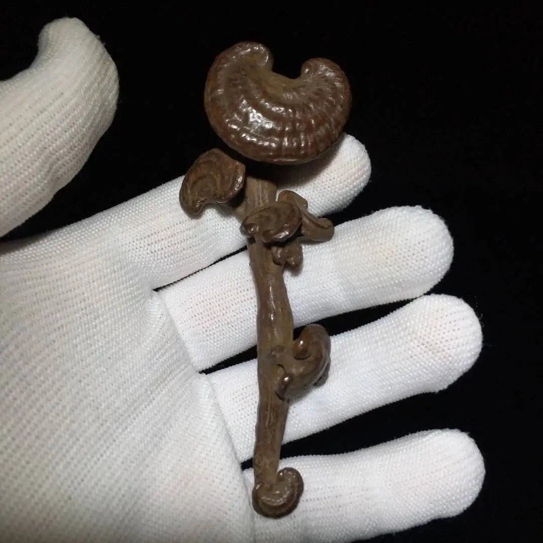 Collect Chinese Old Solid Copper Hand Made Ganoderma Shaped Tea Pet Figurine
Collect Chinese Old Solid Copper Hand Made Ganoderma Shaped Tea Pet Figurine