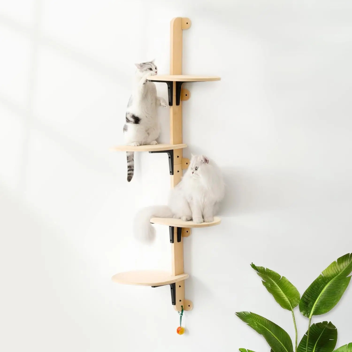 MEWOOFUN 4-Levels Wall Mounted Cat Climber Shelves Tree Wooden Cat Wall Furniture with Carpeted Plank for Indoor Cats
MEWOOFUN 4-Levels Wall Mounted Cat Climber Shelves Tree Wooden Cat Wall Furniture with Carpeted Plank for Indoor Cats