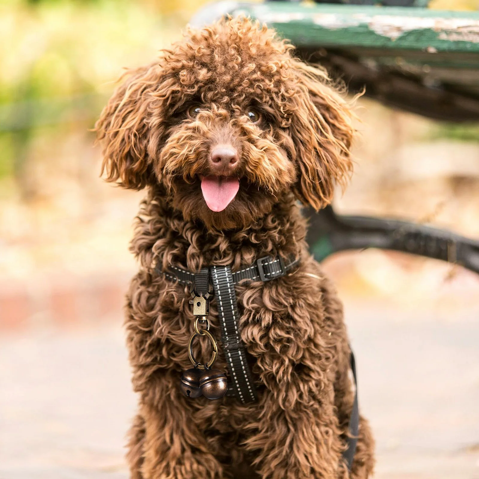 2pcs Pet Collar Bell Brass Finish Dog Cat Hunting Tracking Hiking Outdoor Decorative Hanging Bell Key Chain Pendant Accessory 
2pcs Pet Collar Bell Brass Finish Dog Cat Hunting Tracking Hiking Outdoor Decorative Hanging Bell Key Chain Pendant Accessory