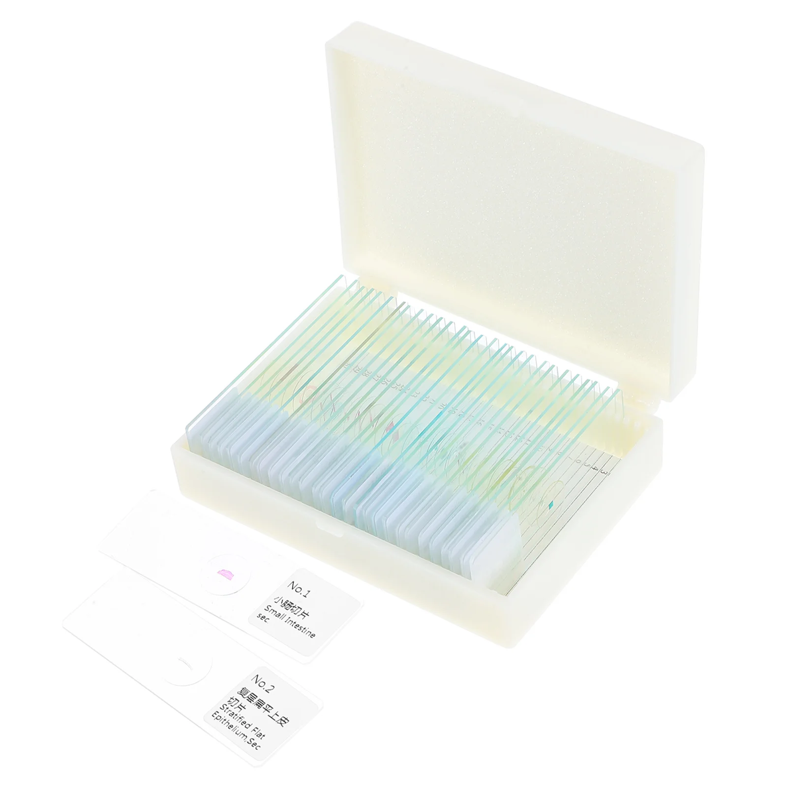 Microscope Slide Glass Slides for Cell Counting Container Prepared Case Accessories Lab Dyeing Treatment 
Microscope Slide Glass Slides for Cell Counting Container Prepared Case Accessories Lab Dyeing Treatment
