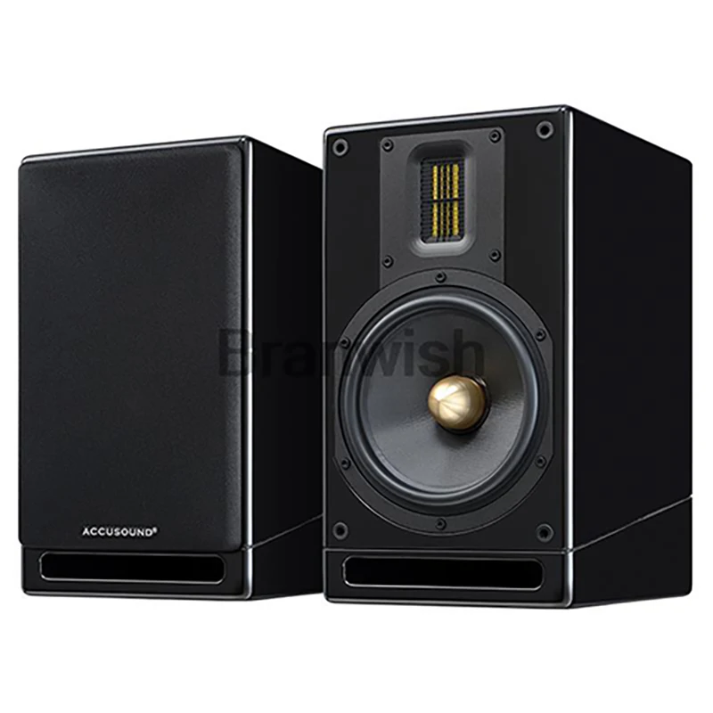 6,5-дюймовые пассивные динамики, двусторонний полочный динамик, 100 Вт, мощный аудио лихорадка, Hi-Fi, 6 Ом, громкоговорители для домашнего кинотеатра, DJ Studio
6,5-дюймовые пассивные динамики, двусторонний полочный динамик, 100 Вт, мощный аудио лихорадка, Hi-Fi, 6 Ом, громкоговорители для домашнего кинотеатра, DJ Studio