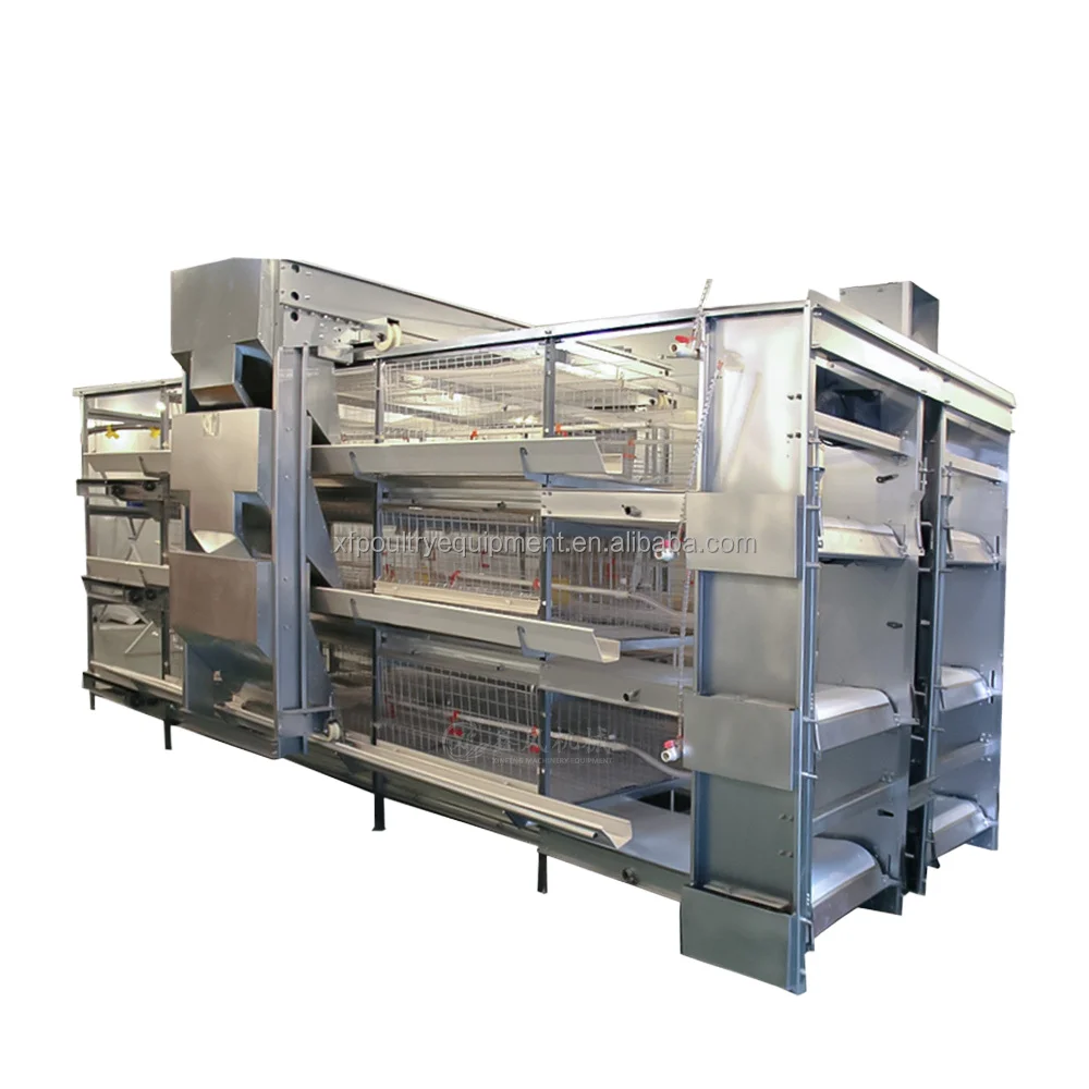 Chicken Cage H Type Layer Fully Automated Layers Automatic Egg Battery for Poultry Farming Breeding Farm Chickens Chicken Cage
Chicken Cage H Type Layer Fully Automated Layers Automatic Egg Battery for Poultry Farming Breeding Farm Chickens Chicken Cage