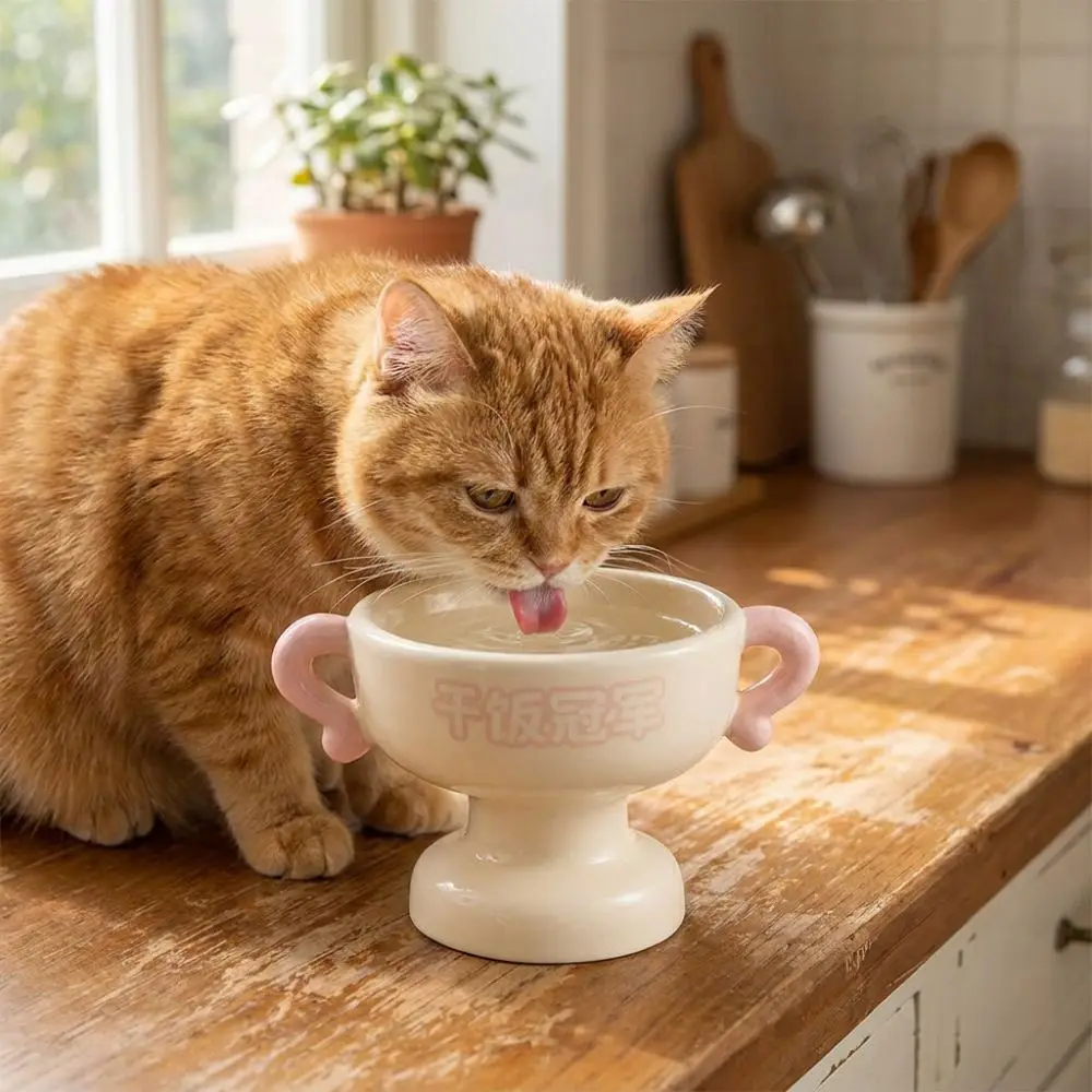 Elevated Cat Food Water Bowl Large Capacity High Feet Ceramic Pet Bowl Non-Slip Base Stable Pet Water Feeder Container
Elevated Cat Food Water Bowl Large Capacity High Feet Ceramic Pet Bowl Non-Slip Base Stable Pet Water Feeder Container