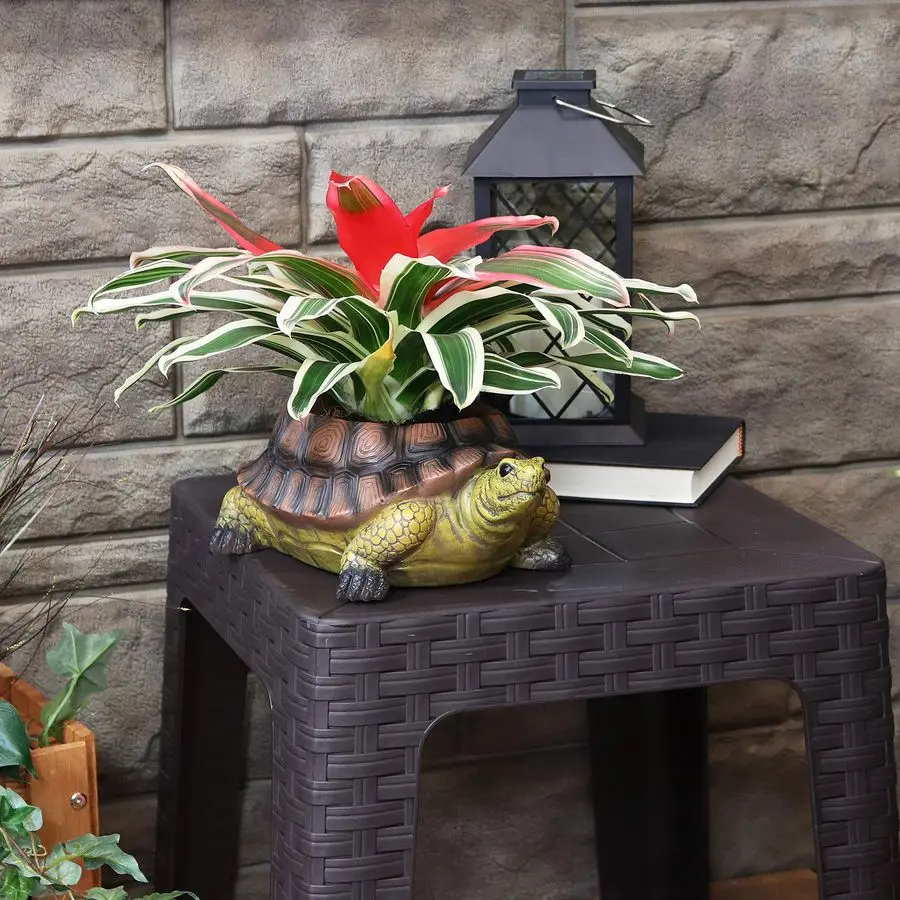 Кашпо для растений Teddy The Turtle 11 из полирезины для использования в помещении или на улице
Кашпо для растений Teddy The Turtle 11 из полирезины для использования в помещении или на улице