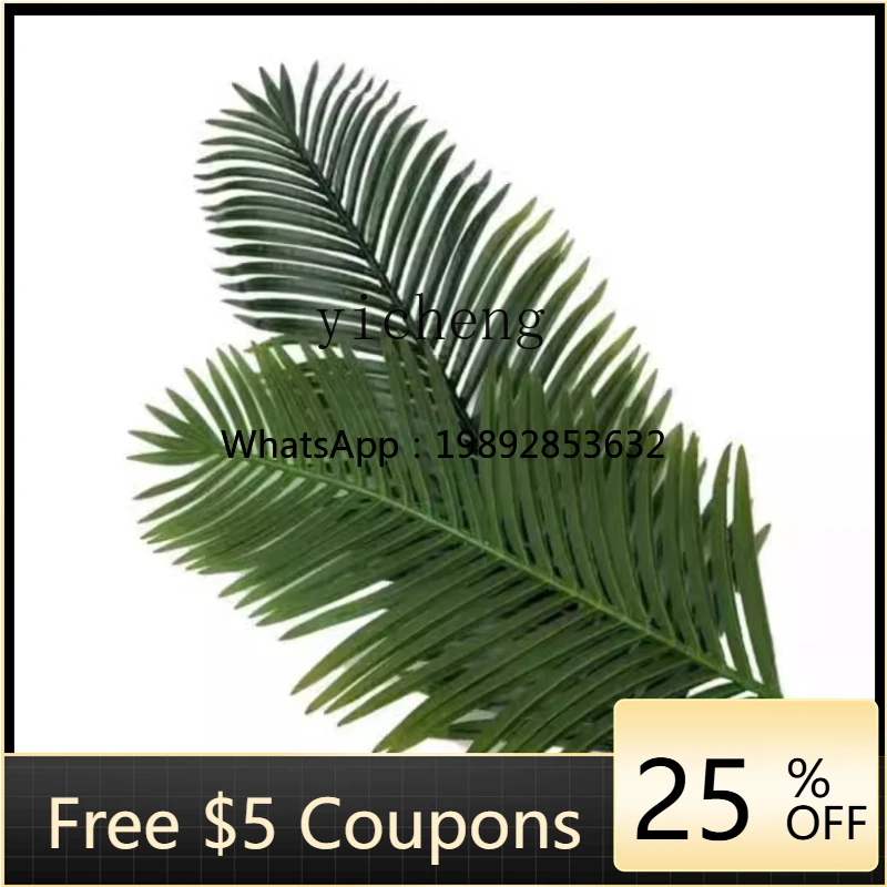 DD simulated coconut tree leaf pipe blocking balcony sewer pipe decoration covering ugly beautification
DD simulated coconut tree leaf pipe blocking balcony sewer pipe decoration covering ugly beautification