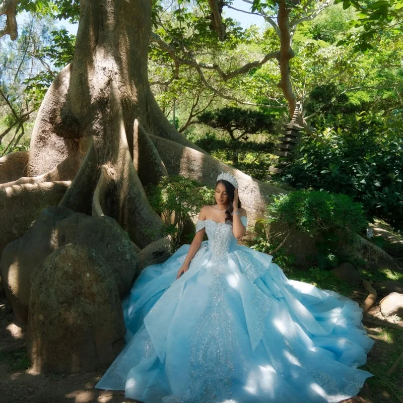 Light Blue Quinceanera Dress off-shoulder Glitter Crystal Decal Layering Long tail Big Bow vestidos de 15 Quinceanera Customize
Light Blue Quinceanera Dress off-shoulder Glitter Crystal Decal Layering Long tail Big Bow vestidos de 15 Quinceanera Customize