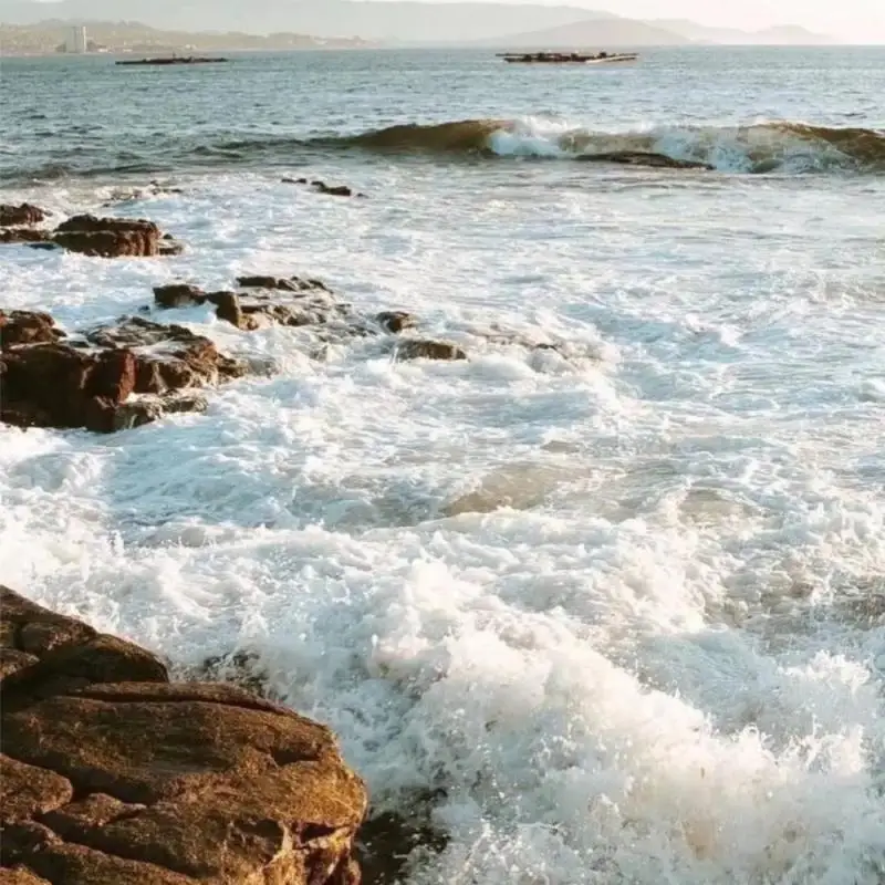 Computer Graphics Card Holder Wear Resist Graphics Card Support Frame Aluminum GPU Jack Bracket for DIY Computer Assembly
Computer Graphics Card Holder Wear Resist Graphics Card Support Frame Aluminum GPU Jack Bracket for DIY Computer Assembly