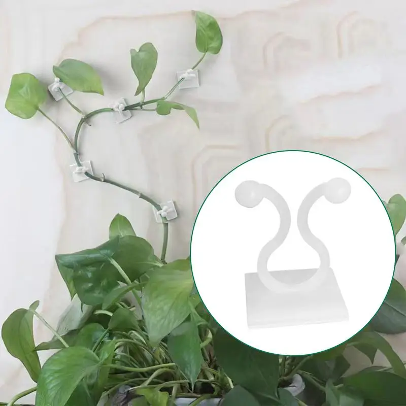 Plant Climbing Wall Fixture Clips Plant Fixer Hooks Secured Adhesive Clips 100X Clips For Indoor Outdoor Wall Vines And Plant
Plant Climbing Wall Fixture Clips Plant Fixer Hooks Secured Adhesive Clips 100X Clips For Indoor Outdoor Wall Vines And Plant