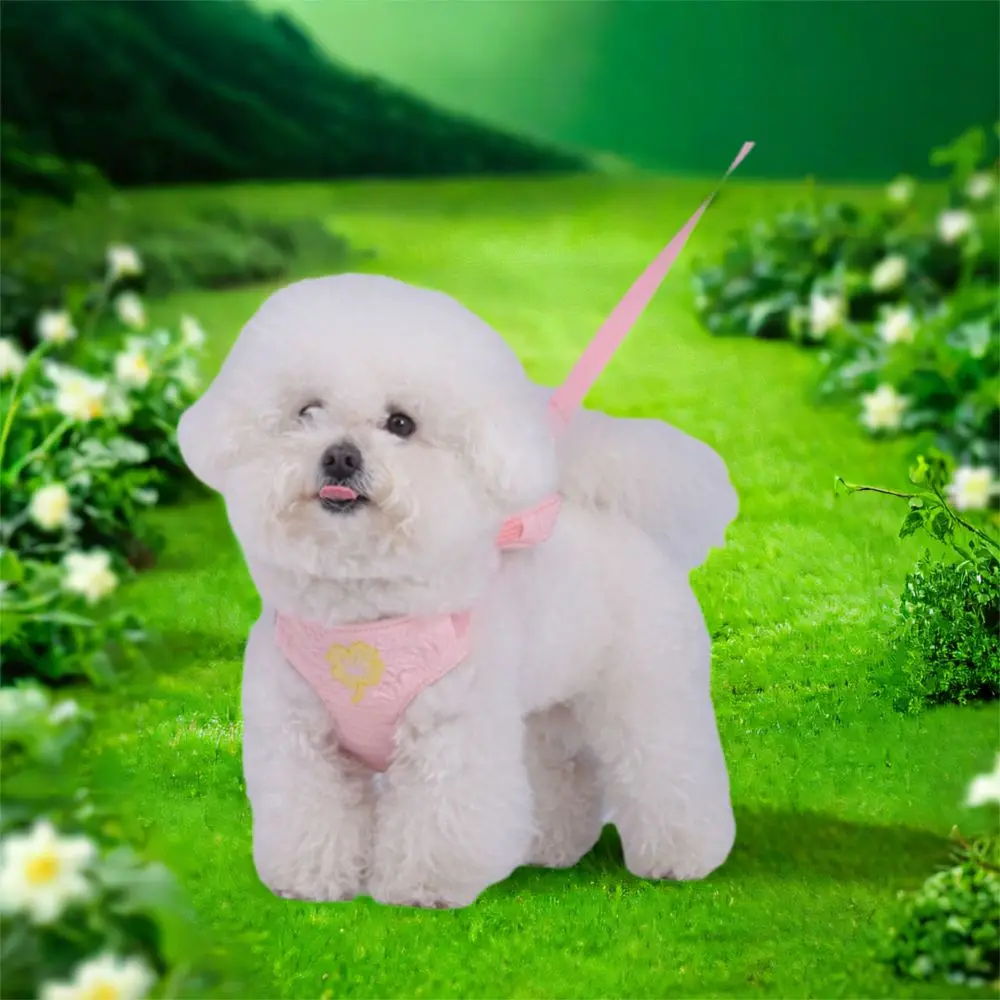 Adjustable Cat Dog Backpack Leash Breathable Cute Dog Chest Strap Comfortable with backpack Cat Dog Harness for Medium Large Dog
Adjustable Cat Dog Backpack Leash Breathable Cute Dog Chest Strap Comfortable with backpack Cat Dog Harness for Medium Large Dog