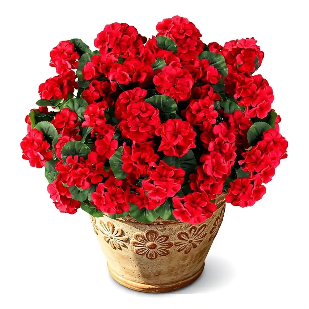 6 Packs of Lifelike Silk Red Geraniums for Outdoor Planters, Hanging Baskets, and Patio Decorations
6 Packs of Lifelike Silk Red Geraniums for Outdoor Planters, Hanging Baskets, and Patio Decorations