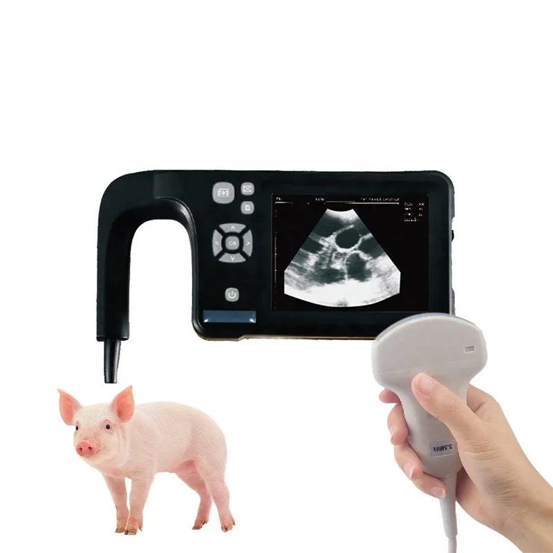 Pig Testing Equipment Ultrasound Device Portable Veterinary B-ultrasound Sow Pregnancy Ultrasound Scanner For Animals Pets
Pig Testing Equipment Ultrasound Device Portable Veterinary B-ultrasound Sow Pregnancy Ultrasound Scanner For Animals Pets