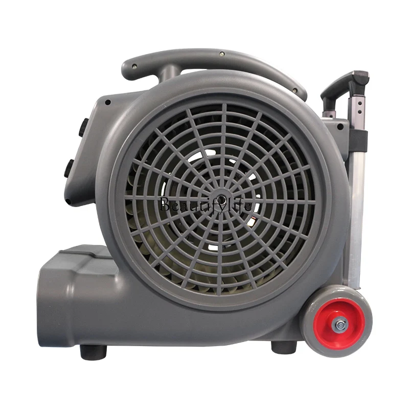 Commercial Hotel Floor Carpet Sofa High Power Strong Dryer Blast Three-Speed Hair Dryer
Commercial Hotel Floor Carpet Sofa High Power Strong Dryer Blast Three-Speed Hair Dryer