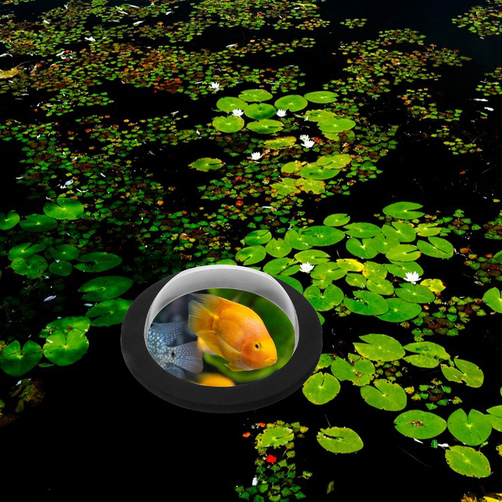 Floating Fish Pond Dome Cover Acrylic Garden Pool Accessories Clear Small Outdoor Aquarium Pond Cover Fish Dome Transparent
Floating Fish Pond Dome Cover Acrylic Garden Pool Accessories Clear Small Outdoor Aquarium Pond Cover Fish Dome Transparent