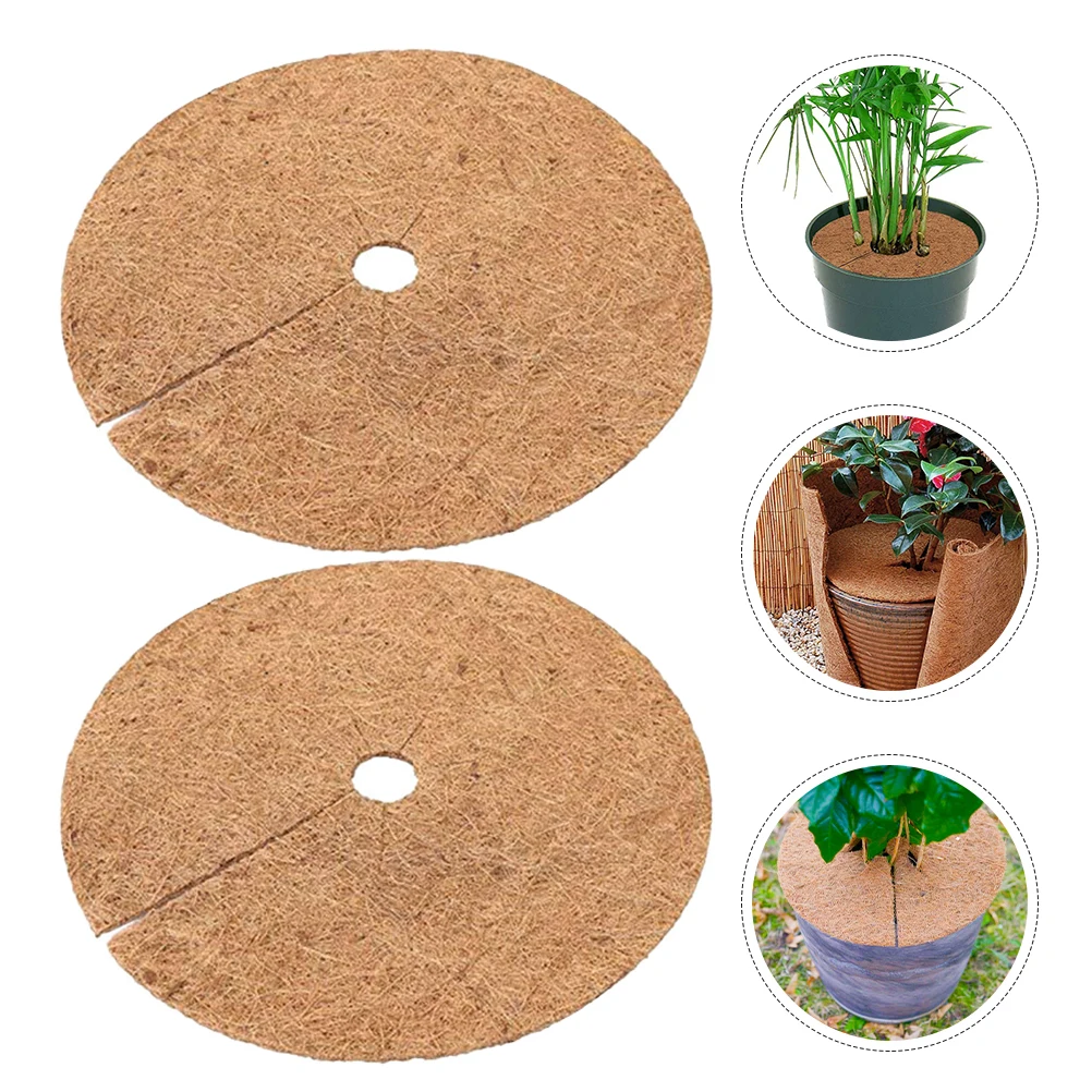 8 Pcs Basket Flowerpot Spacer Coconut Fiber Mat Potted Plant Liner Liners Light Brown
8 Pcs Basket Flowerpot Spacer Coconut Fiber Mat Potted Plant Liner Liners Light Brown