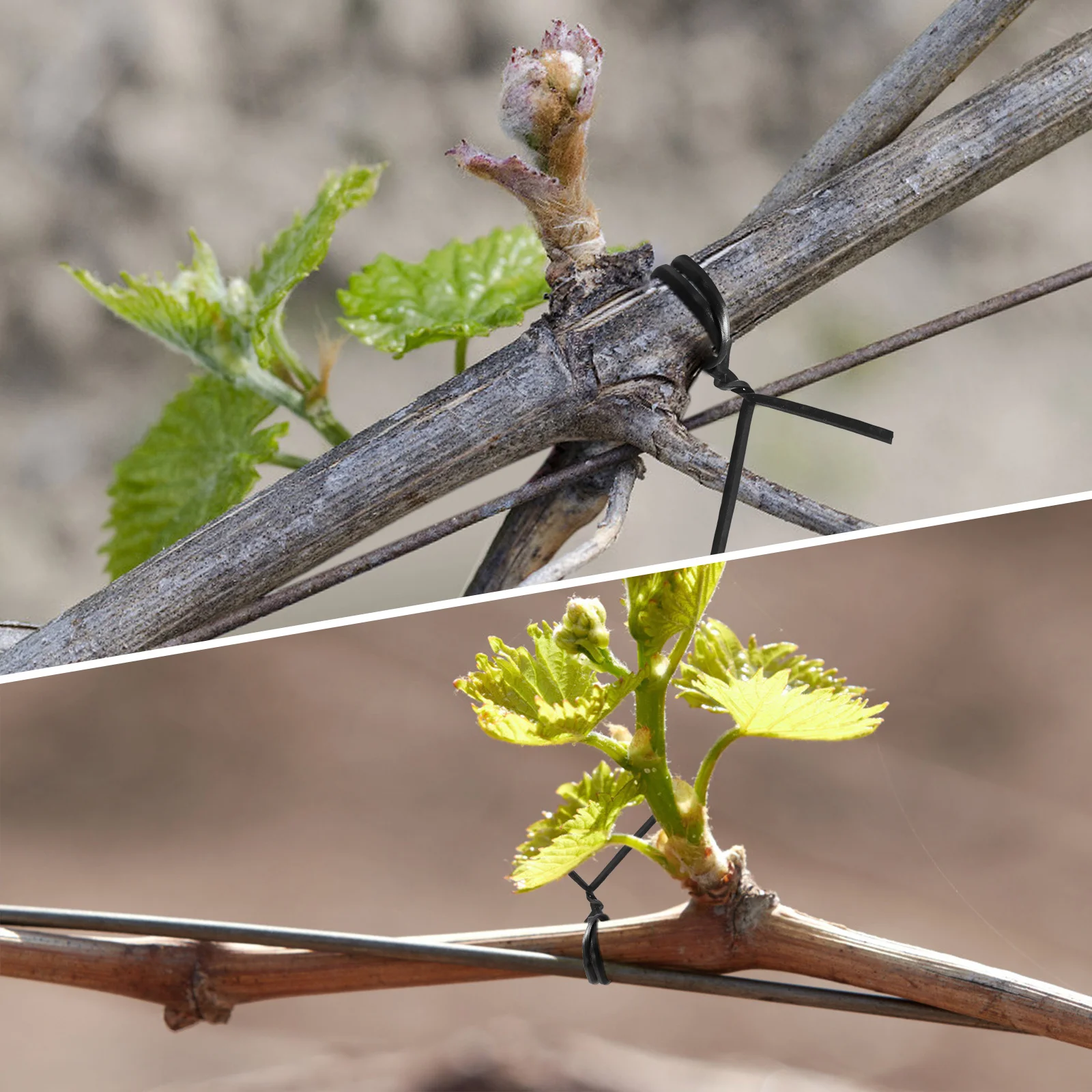 500Pcs Black Ties Multipurpose Cable Organizer for Gardening Cord Management and Wire Wraps 6 Inch Ties 
500Pcs Black Ties Multipurpose Cable Organizer for Gardening Cord Management and Wire Wraps 6 Inch Ties