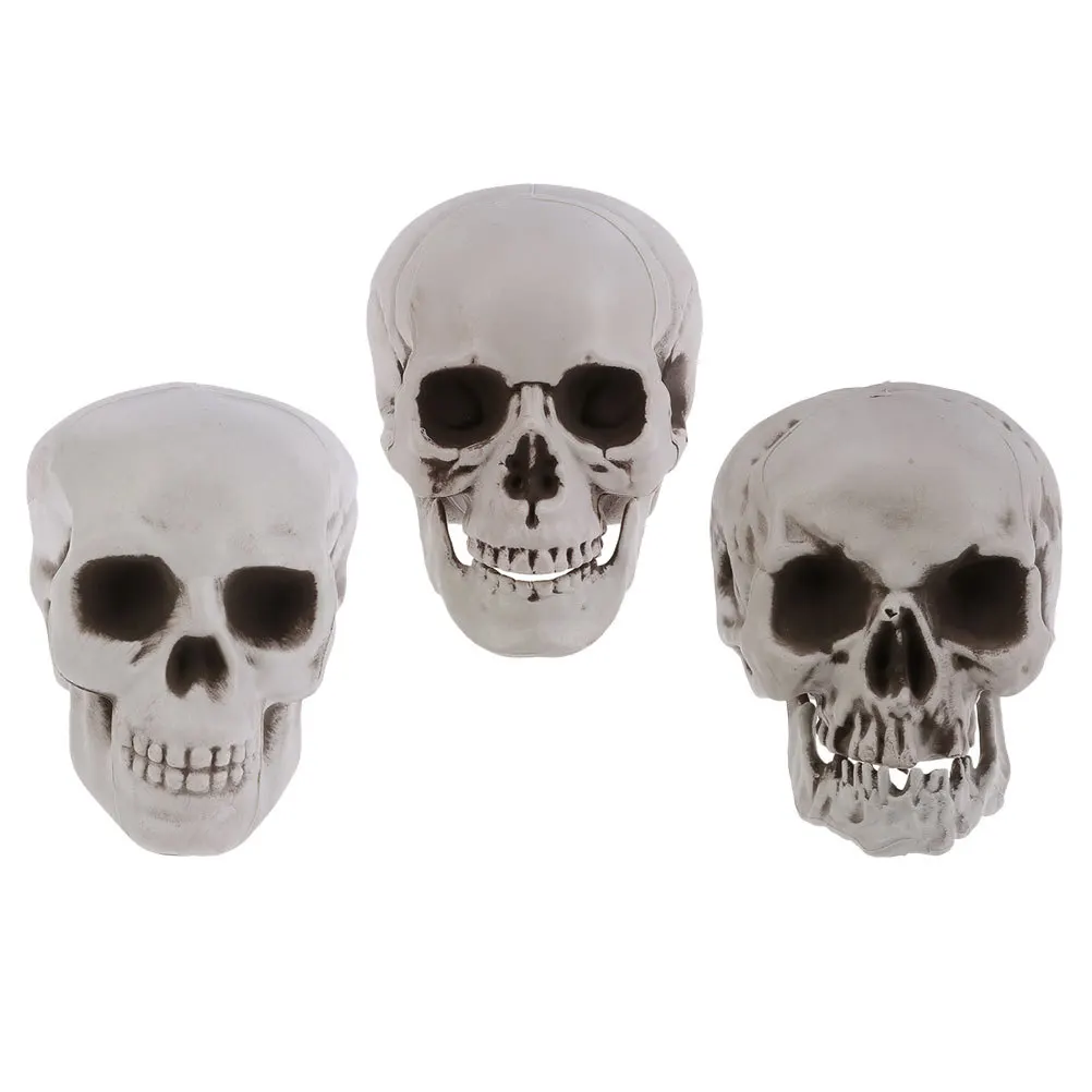 3Pcs Halloween Skull Head Realistic Plastic Decoration Haunted House Party Accessory Scary Photo Prop
3Pcs Halloween Skull Head Realistic Plastic Decoration Haunted House Party Accessory Scary Photo Prop