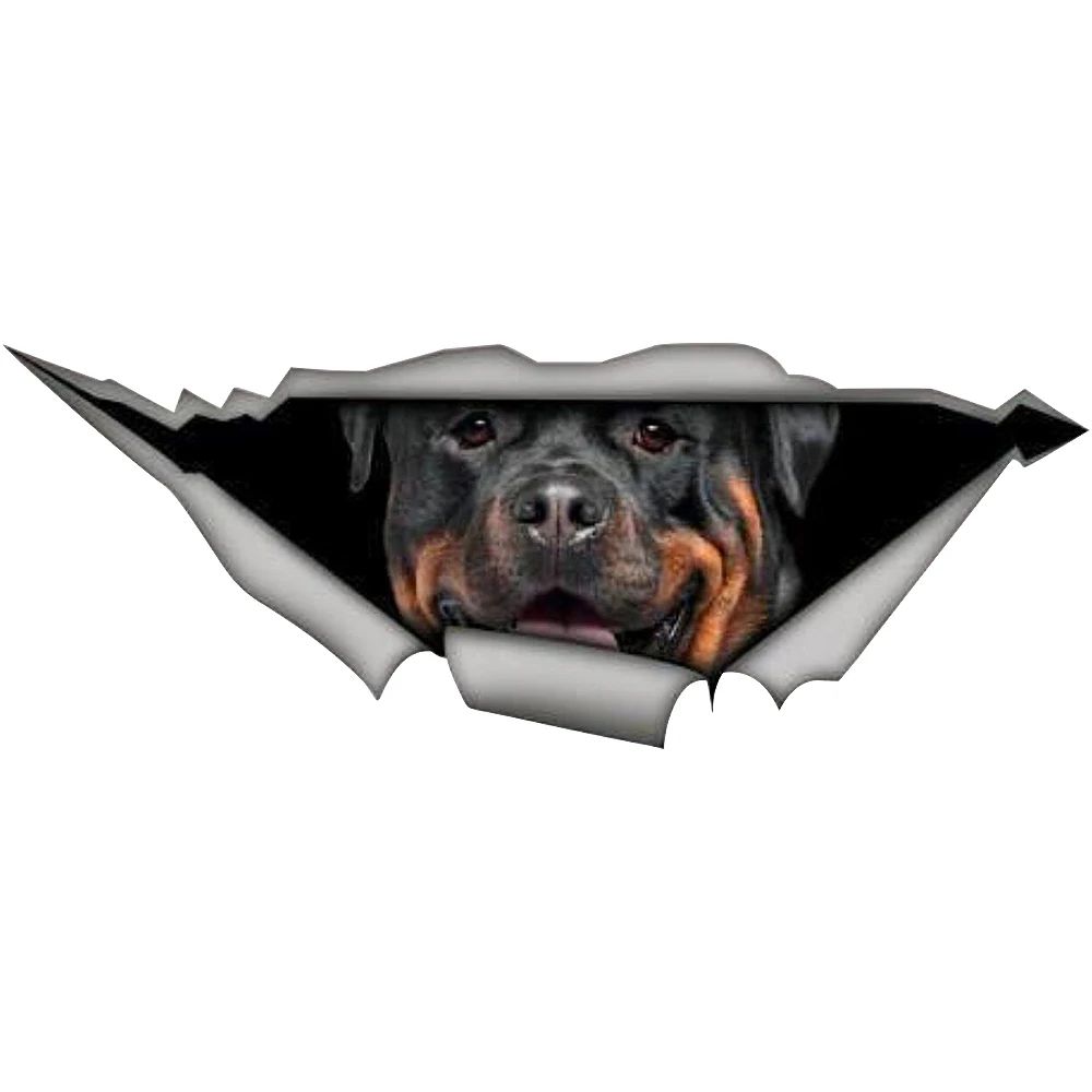 M436# Car Sticker Rottweiler Waterproof Vinyl Decal Accessories Pegatinas Para Coche DIY Car Styling
M436# Car Sticker Rottweiler Waterproof Vinyl Decal Accessories Pegatinas Para Coche DIY Car Styling