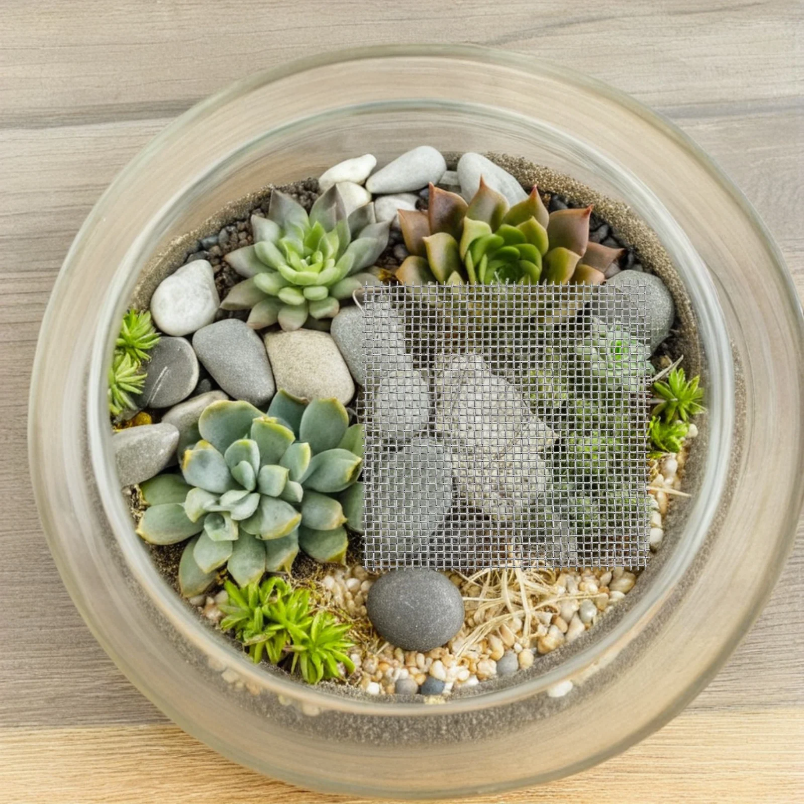 25Pcs Stainless Steel Aquatic Plant Mesh Screen Moss Fixing Pad for Fish Tank Decor Multi-Function Wire Mesh 8x8cm
25Pcs Stainless Steel Aquatic Plant Mesh Screen Moss Fixing Pad for Fish Tank Decor Multi-Function Wire Mesh 8x8cm