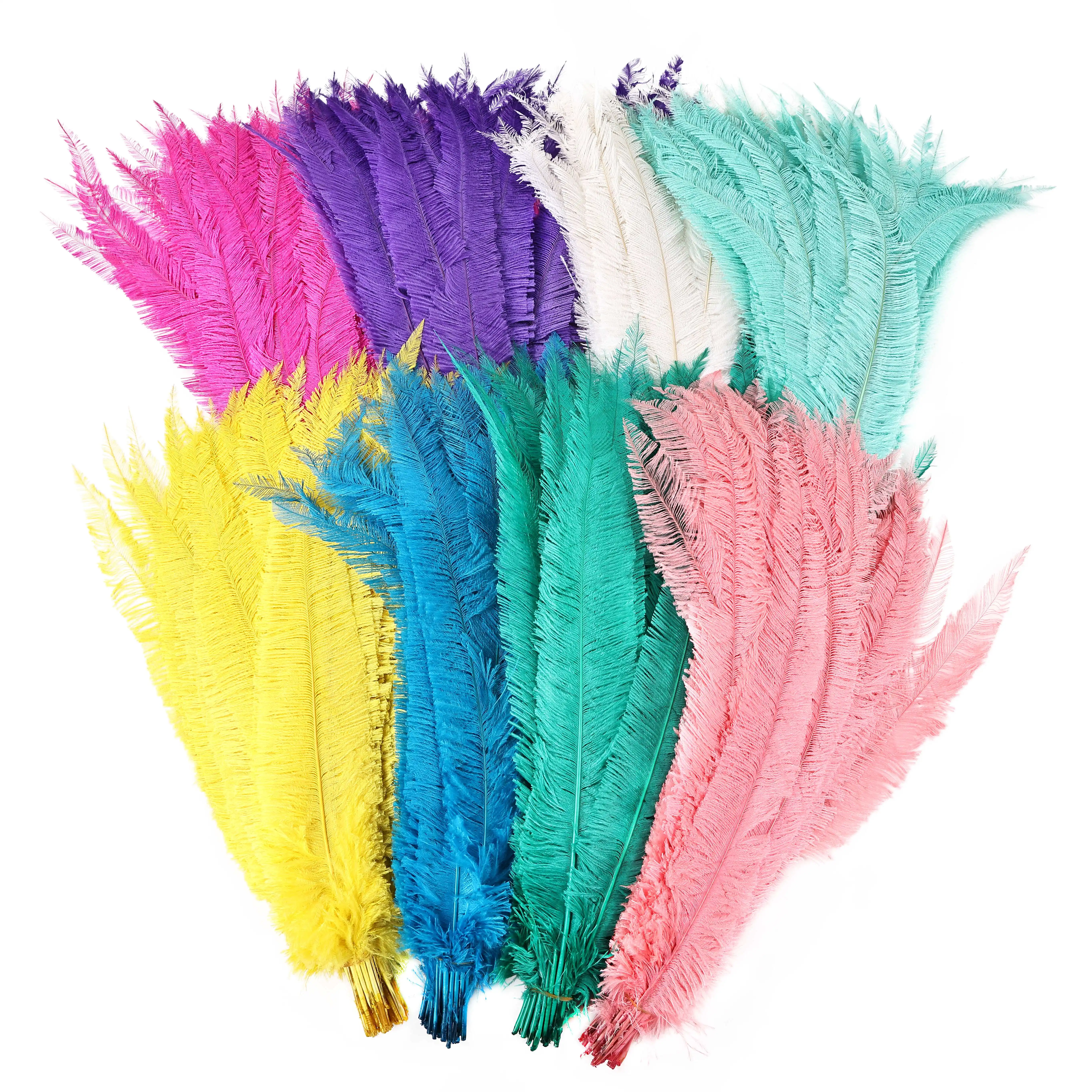 35 - 60cm Wholesale 50pcs Dyed Ostrich Nandu Ostrich Feather for Decoration Party Birthday Costume DIY Craft
35 - 60cm Wholesale 50pcs Dyed Ostrich Nandu Ostrich Feather for Decoration Party Birthday Costume DIY Craft