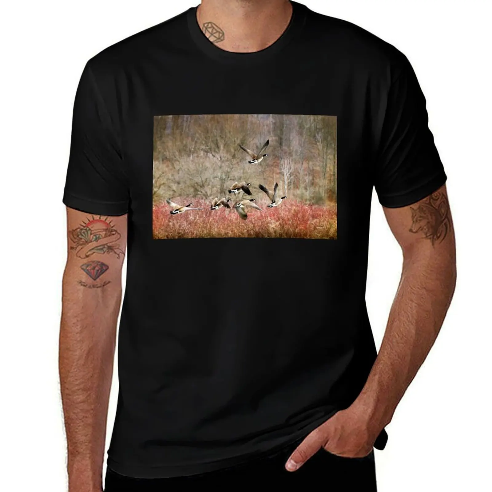 Canada Geese in Flight T-Shirt new edition Funny t-shirts luxury designer shirts graphic tee workout shirts for men
Canada Geese in Flight T-Shirt new edition Funny t-shirts luxury designer shirts graphic tee workout shirts for men