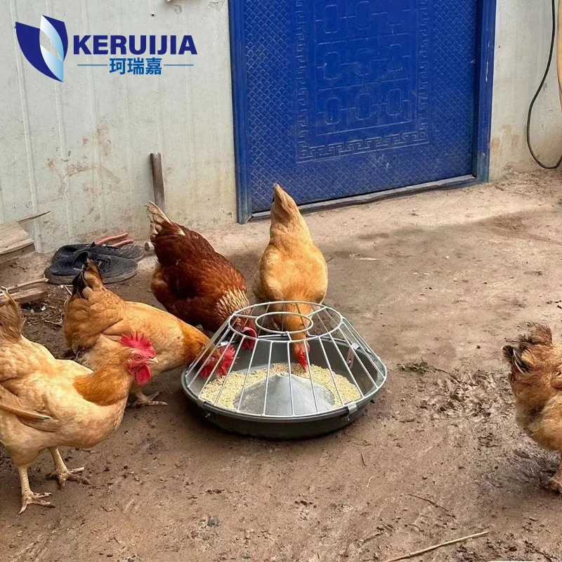 Plastic manufacturer price automatic chicken feeding box 6kg chicken feeding trough
Plastic manufacturer price automatic chicken feeding box 6kg chicken feeding trough