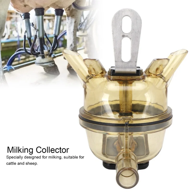 340cc Milking Claw Farm Milking Machine Collector Livestock Accessory For Cow Sheep Goat
340cc Milking Claw Farm Milking Machine Collector Livestock Accessory For Cow Sheep Goat