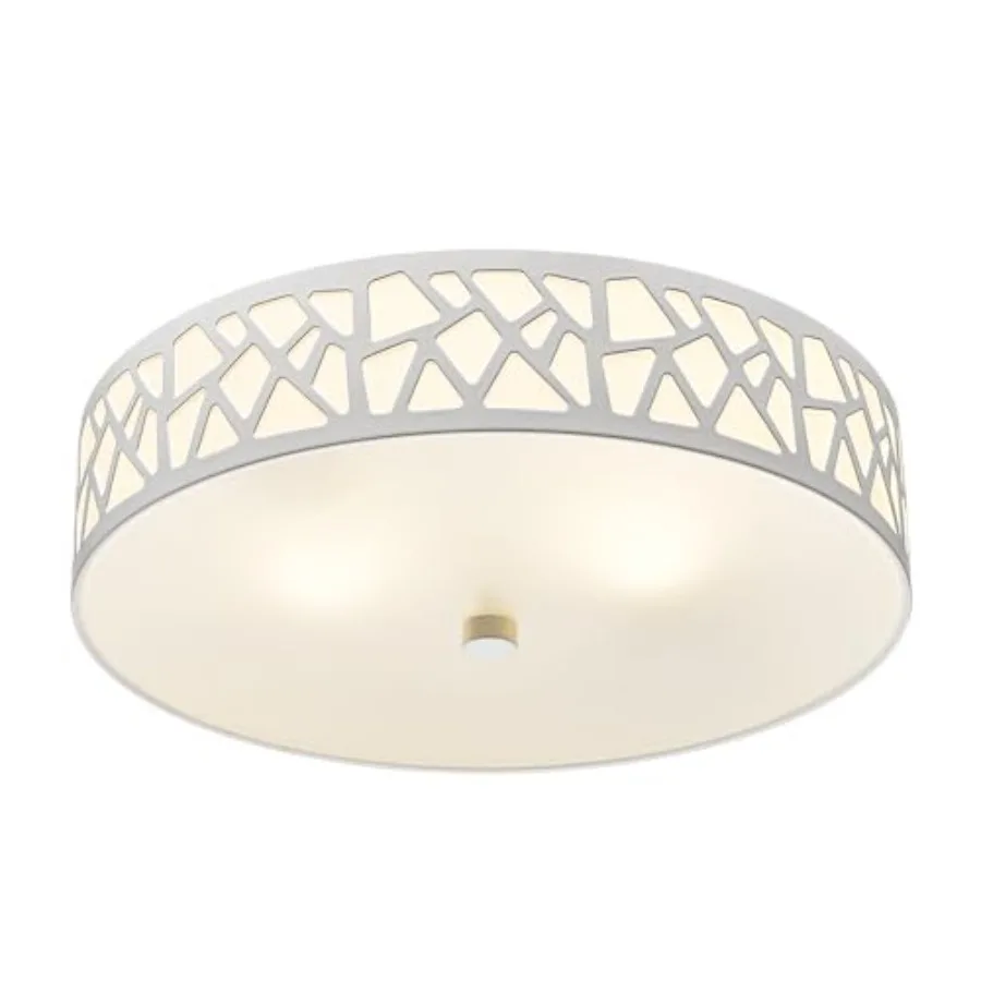 2-Light Flush Mount Ceiling Light, 12 Inch Modern Light Fixtures Ceiling Mount with Metal and Frosted Glass Shade for Bedroom,
2-Light Flush Mount Ceiling Light, 12 Inch Modern Light Fixtures Ceiling Mount with Metal and Frosted Glass Shade for Bedroom,