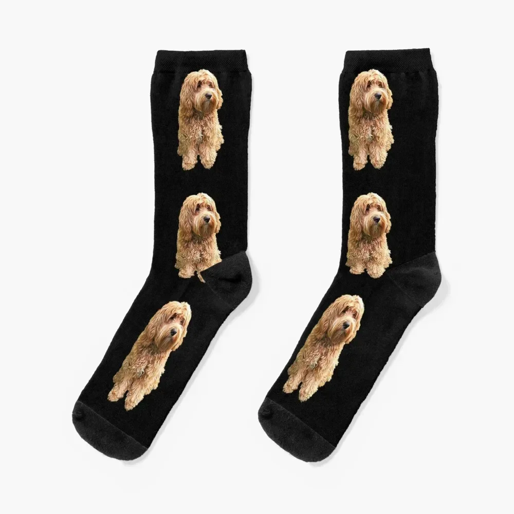Cockapoo Cockerpoo О, так стильно! Носки Аргентина счастливая зима Мужские носки Роскошные женские
Cockapoo Cockerpoo О, так стильно! Носки Аргентина счастливая зима Мужские носки Роскошные женские